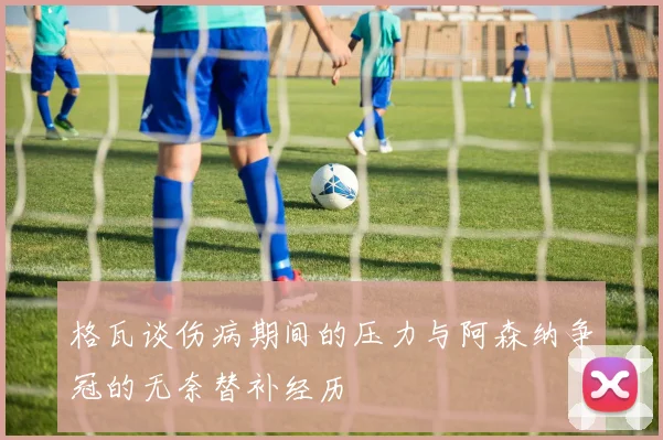 格瓦谈伤病期间的压力与阿森纳争冠的无奈替补经历