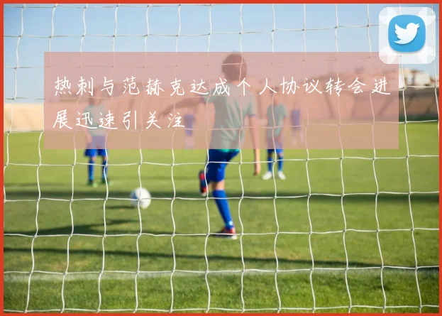 热刺与范赫克达成个人协议转会进展迅速引关注