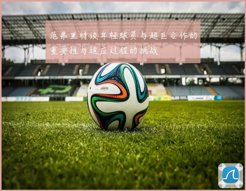 范弗里特谈年轻球员与超巨合作的重要性与适应过程的挑战